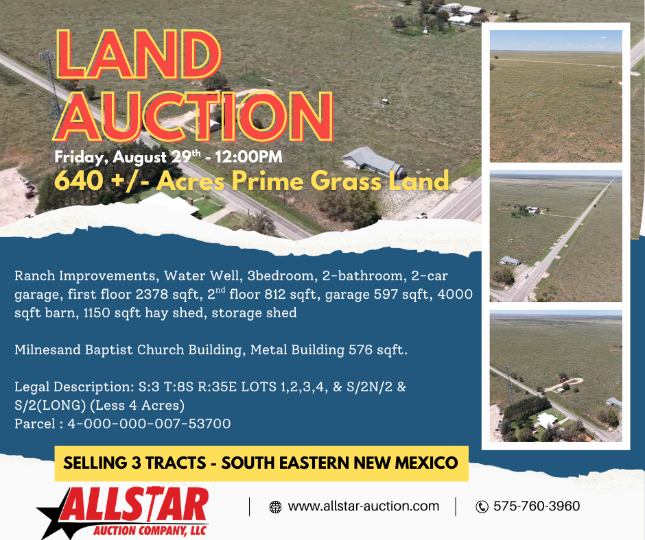 Land Auction